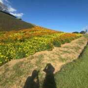 ヒメ日記 2025/10/29 09:18 投稿 れい Grace東京