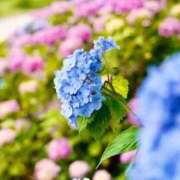 ヒメ日記 2025/11/02 23:57 投稿 れい Grace東京