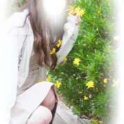 ヒメ日記 2025/11/05 10:12 投稿 れい Grace東京