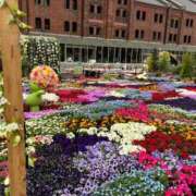 ヒメ日記 2025/11/06 22:17 投稿 れい Grace東京