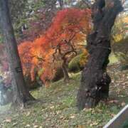 ヒメ日記 2025/11/10 12:17 投稿 れい Grace東京