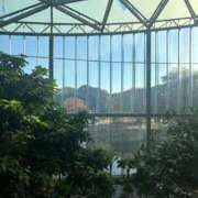 ヒメ日記 2025/11/17 23:17 投稿 れい Grace東京