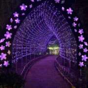 ヒメ日記 2025/12/03 20:17 投稿 れい Grace東京