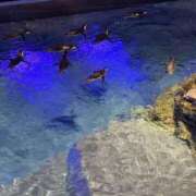 ヒメ日記 2025/12/16 11:27 投稿 れい Grace東京