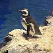 ヒメ日記 2025/12/18 10:07 投稿 れい Grace東京