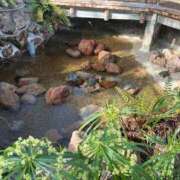 ヒメ日記 2026/02/11 23:47 投稿 れい Grace東京