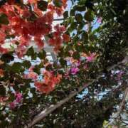 ヒメ日記 2026/03/01 10:07 投稿 れい Grace東京