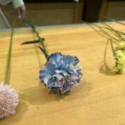 ヒメ日記 2026/03/15 00:03 投稿 れい Grace東京