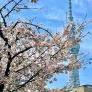 ヒメ日記 2026/03/31 16:07 投稿 れい Grace東京