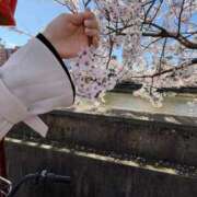 ヒメ日記 2026/04/24 13:17 投稿 れい Grace東京