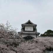 ヒメ日記 2026/05/04 12:47 投稿 れい Grace東京