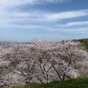 ヒメ日記 2026/05/08 13:32 投稿 れい Grace東京