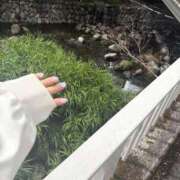 ヒメ日記 2026/07/22 13:07 投稿 れい Grace東京