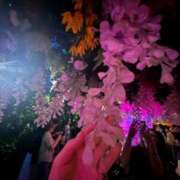 ヒメ日記 2026/08/20 22:17 投稿 れい Grace東京