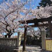 ヒメ日記 2026/09/14 23:47 投稿 れい Grace東京