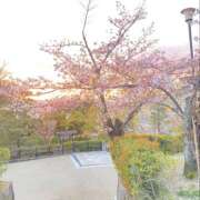 ヒメ日記 2025/04/03 01:01 投稿 ひより みんなに内緒のりふれ