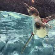 ヒメ日記 2025/07/08 21:38 投稿 るな みんなに内緒のりふれ