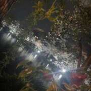 ヒメ日記 2026/04/06 16:09 投稿 桜井さゆみ 東京不倫～とうきょうふりん～