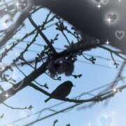 ヒメ日記 2025/04/15 16:01 投稿 しずく 池袋あられ