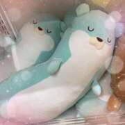 ヒメ日記 2025/05/21 17:47 投稿 しずく 池袋あられ