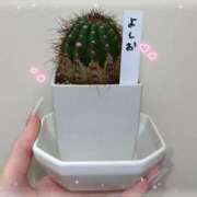 ヒメ日記 2026/01/08 08:16 投稿 翆-すい【FG系列】 ほんとうの人妻　柏店