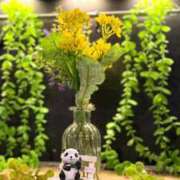 ヒメ日記 2026/02/18 07:32 投稿 翆-すい【FG系列】 ほんとうの人妻　柏店