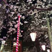 ヒメ日記 2025/04/04 23:56 投稿 かえで 横浜Cute