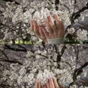 ヒメ日記 2025/04/09 00:19 投稿 翆-すい【FG系列】 ほんとうの人妻　松戸店