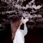 ヒメ日記 2025/04/09 09:47 投稿 翆-すい【FG系列】 ほんとうの人妻　松戸店