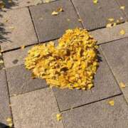 ヒメ日記 2025/11/22 07:46 投稿 翆-すい【FG系列】 ほんとうの人妻　松戸店