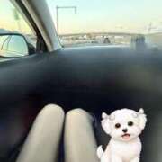 ヒメ日記 2026/02/05 07:32 投稿 翆-すい【FG系列】 ほんとうの人妻　松戸店