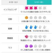 ヒメ日記 2025/02/23 07:31 投稿 浜田なぎさ ABC 岩手ソープ