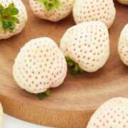 ヒメ日記 2025/03/13 21:46 投稿 浜田なぎさ ABC 岩手ソープ