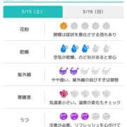 ヒメ日記 2025/03/15 07:31 投稿 浜田なぎさ ABC 岩手ソープ