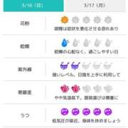 ヒメ日記 2025/03/16 07:31 投稿 浜田なぎさ ABC 岩手ソープ