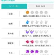 ヒメ日記 2025/03/17 07:31 投稿 浜田なぎさ ABC 岩手ソープ