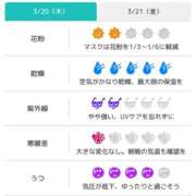 ヒメ日記 2025/03/20 07:46 投稿 浜田なぎさ ABC 岩手ソープ