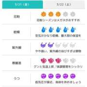 ヒメ日記 2025/03/21 06:31 投稿 浜田なぎさ ABC 岩手ソープ