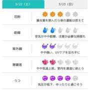 ヒメ日記 2025/03/22 07:31 投稿 浜田なぎさ ABC 岩手ソープ