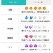 ヒメ日記 2025/03/25 07:01 投稿 浜田なぎさ ABC 岩手ソープ