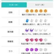 ヒメ日記 2025/03/26 08:46 投稿 浜田なぎさ ABC 岩手ソープ