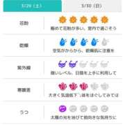 ヒメ日記 2025/03/29 07:31 投稿 浜田なぎさ ABC 岩手ソープ