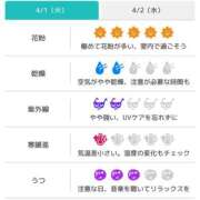 ヒメ日記 2025/04/01 07:31 投稿 浜田なぎさ ABC 岩手ソープ