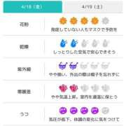 ヒメ日記 2025/04/18 07:31 投稿 浜田なぎさ ABC 岩手ソープ