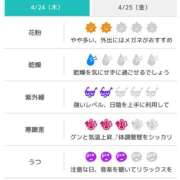 ヒメ日記 2025/04/24 07:46 投稿 浜田なぎさ ABC 岩手ソープ