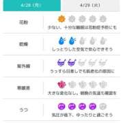 ヒメ日記 2025/04/28 06:31 投稿 浜田なぎさ ABC 岩手ソープ