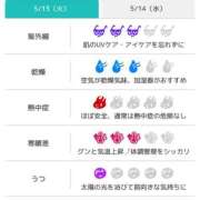 ヒメ日記 2025/05/13 07:31 投稿 浜田なぎさ ABC 岩手ソープ