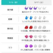 ヒメ日記 2025/05/16 07:31 投稿 浜田なぎさ ABC 岩手ソープ