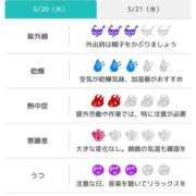 ヒメ日記 2025/05/20 06:31 投稿 浜田なぎさ ABC 岩手ソープ