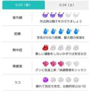 ヒメ日記 2025/05/23 06:46 投稿 浜田なぎさ ABC 岩手ソープ